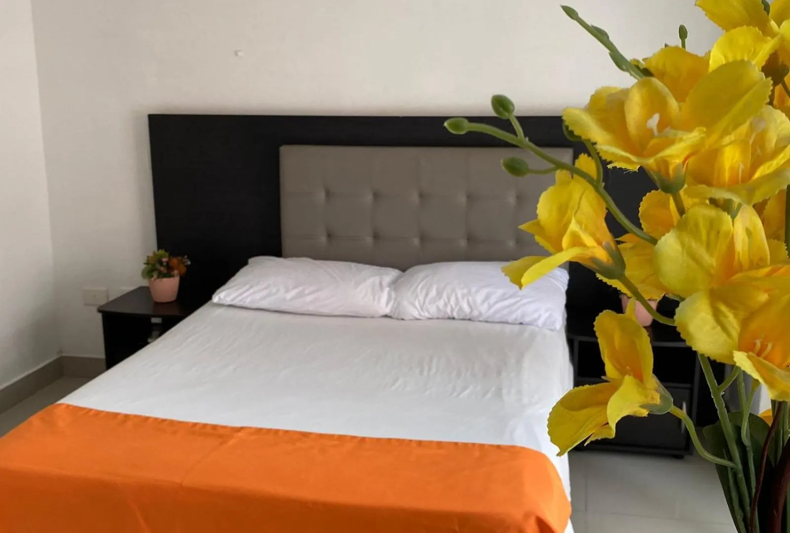 Apartaestudios Laureles Medellin